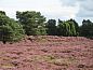 Guest house 201305 • Holiday property Zuidwest Drenthe • Huisje in Pesse  • 8 of 20