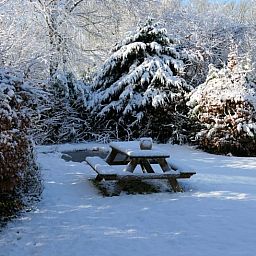 Besneeuwde picknicktafel in de tuin van Vakantiehuis in Zorgvlied, Zuidwest Drenthe, omringd door bomen.