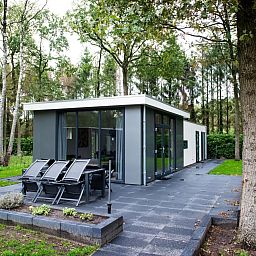 Moderne chalet De Ganzenpoel in Zorgvlied, Zuidwest Drenthe, met terras en omringd door groene natuur voor een ontspannen vakantie.