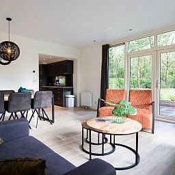 Gezellige woonkamer van chalet De Ganzenpoel in Zorgvlied, Zuidwest Drenthe, met uitzicht op groene natuur en moderne inrichting.