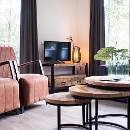 Gezellige woonkamer van De Ganzenpoel chalet in Zorgvlied, Zuidwest Drenthe, met moderne inrichting en uitzicht op de omringende natuur.