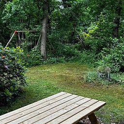 Ontspan in de groene tuin van Huisje in Wateren, Westerveld, Drenthe, met picknicktafel en schommel, omringd door natuur.
