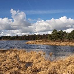 Schoener Seeblick in der Naehe des Ferienhauses in Wateren, Westerveld, Drenthe.