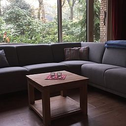 Gemuetliches Wohnzimmer des Ferienhauses in Wateren, Westerveld, mit Blick auf die Natur in Drenthe.