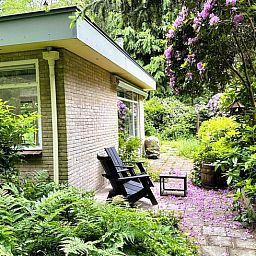 Aussenterrasse des Ferienhauses in Wateren, Westerveld, Drenthe, umgeben von ueppiger Natur.