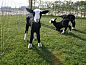 Verblijf 201901 • Appartement Zuidwest Drenthe • Westerend  • 3 van 10