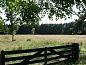 Verblijf 202213 • Vakantiewoning Zuidwest Drenthe • Huisje in Uffelte  • 14 van 25