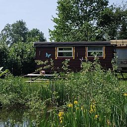 Vakantiehuis in Elim, Drenthe, met uitzicht op een vijver en weelderige natuur.
