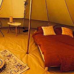 Guest house 202520 - Holiday property Zuidwest Drenthe - Vakantiehuis in Elim