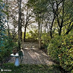 Guest house 203011 - Holiday property Zuidwest Drenthe - Erve Soebringe