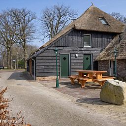 Guest house 203013 - Holiday property Zuidwest Drenthe - Erve Middendorp