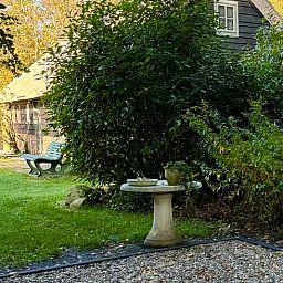 Gruener Garten am Ferienhaus in Ansen, Suedwest-Drenthe, mit Vogeltraenke.