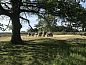Guest house 203105 • Holiday property Zuidwest Drenthe • Modern ingericht 5 persoons vakantiehuis op een boerderij in  • 8 of 26