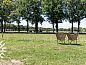Guest house 203516 • Holiday property Zuidwest Drenthe • Heerlijk gelegen 4 persoons boerderijappartement nabij  • 2 of 26