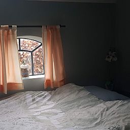 Entdecken Sie die ruhige, waldreiche Umgebung des Ferienhauses DG2026 in Dieverbrug, im Suedwesten von Drenthe, ideal fuer Naturliebhaber.