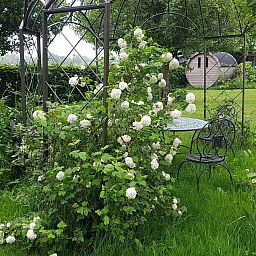 Geniessen Sie den ruhigen Garten des Ferienhauses DG2026 in Dieverbrug, im Suedwesten von Drenthe, umgeben von ueppiger Natur und bluehenden Blumen.