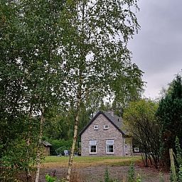 Ferienhaus in Oude Willem, umgeben von Baeumen im ruhigen Suedwesten von Drenthe, ideal fuer einen erholsamen Aufenthalt.