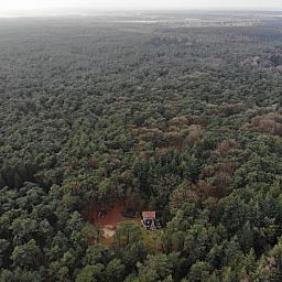 Luchtfoto van Huisje in Oude Willem, vakantiehuis omgeven door uitgestrekte bossen in Zuidwest Drenthe.