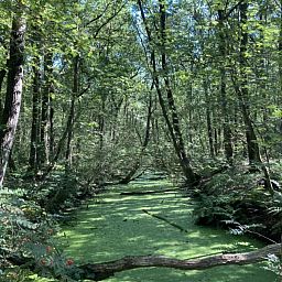 Verblijf 204116 - Vakantiewoning Zuidwest Drenthe - DG2162