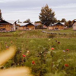 Verblijf 210634 - Tenthuis Oostelijk Flevoland - Glamping tent