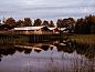Verblijf 210639 • Tenthuis Oostelijk Flevoland • Comfortabele glamping tent  • 1 van 10