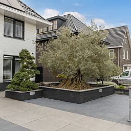 Guest house 210740 - Holiday property Oostelijk Flevoland - Vrijstaande woning in Lelystad