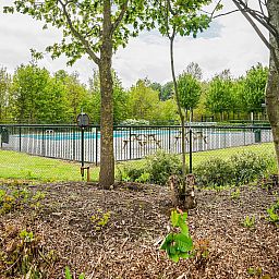 Unterkunft 2202115 - Ferienhaus Zuidelijk Flevoland - Villa Bosrijk