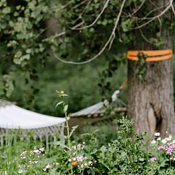 Relax in the hammock amidst nature at Holiday Home in Zeewolde, Southern Flevoland, perfect for a restful vacation.