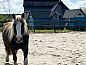 Guest house 220325 • Holiday property Zuidelijk Flevoland • Huisje in Almere  • 10 of 15