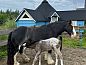 Guest house 220325 • Holiday property Zuidelijk Flevoland • Huisje in Almere  • 12 of 15