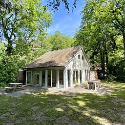 Gezellig vakantiehuis Huisje in Oudemirdum omringd door natuur in de Friese bossen, Friesland.