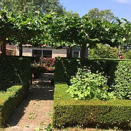 Guest house 230119 - Holiday property Friese bossen - Vakantiehuisje in Oudemirdum