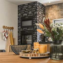 Guest house 230205 - Holiday property Friese bossen - Vakantiehuis in Rijs