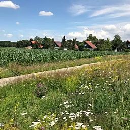 Unterkunft 2303119 - Ferienhaus Friese bossen - Ideale Vakantiewoning Appelscha