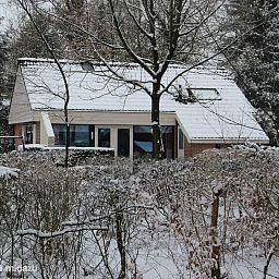 Unterkunft 2303128 - Ferienhaus Friese bossen - Boshuis Daaldersplakje