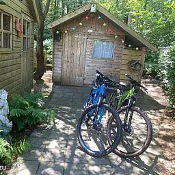 Unterkunft 2303128 - Ferienhaus Friese bossen - Boshuis Daaldersplakje