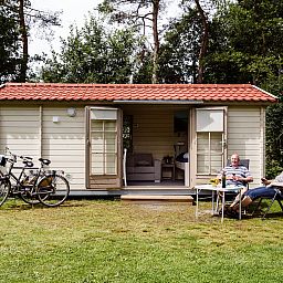Unterkunft 230355 - Chalet Friese bossen - Kampeerchalet de Bosuil