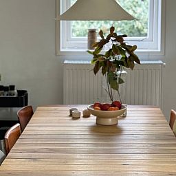 Gezellige eetruimte in Huisje in Appelscha, vakantiehuis in Friesland, met uitzicht op de tuin.