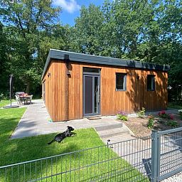 Ferienhaus in Appelscha, umgeben von friesischen Waeldern in Friesland, mit gruenem Garten und einladender Terrasse.