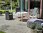 Guest house 230415 • Holiday property Friese bossen • Vakantiehuis  • 3 of 18
