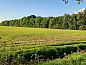 Guest house 230415 • Holiday property Friese bossen • Vakantiehuis  • 13 of 18