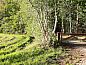 Guest house 230415 • Holiday property Friese bossen • Vakantiehuis  • 14 of 18