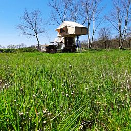 Unterkunft 230603 - Ferienhaus Friese bossen - Vakantiehuis in Siegerswoude