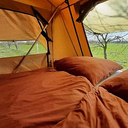 Unterkunft 230603 - Ferienhaus Friese bossen - Vakantiehuis in Siegerswoude