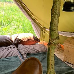 Unterkunft 230605 - Ferienhaus Friese bossen - Huisje in Siegerswoude