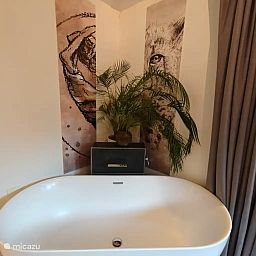 Guest house 231111 - Apartment Friese bossen - Huize Triangel | Studio met sauna