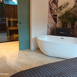 Guest house 231111 - Apartment Friese bossen - Huize Triangel | Studio met sauna