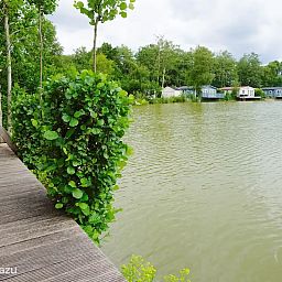 Unterkunft 231231 - Chalet Friese bossen - Vakantiehuis Goudmeer