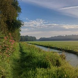 Landschap rondom Vakantiehuis in Haulerwijk, met weelderige groene velden in Friesland.