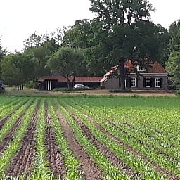 Unterkunft 231502 - Ferienhaus Friese bossen - Huisje in Boijl